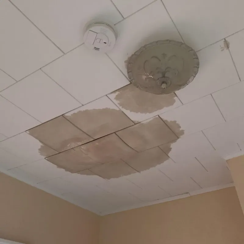 Ceiling Water Damage Repair in Briscoe County, TX