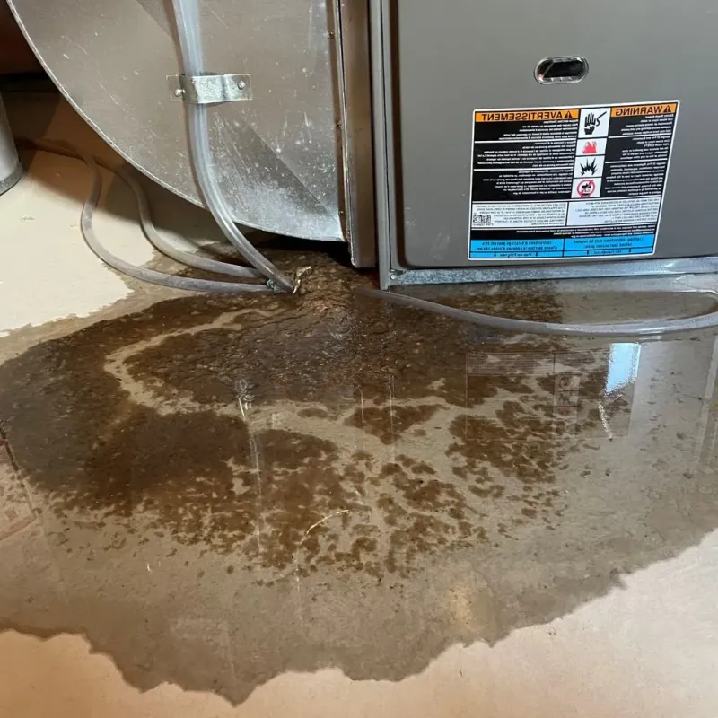 Pipe Burst and Leak Restoration in Briscoe County, TX