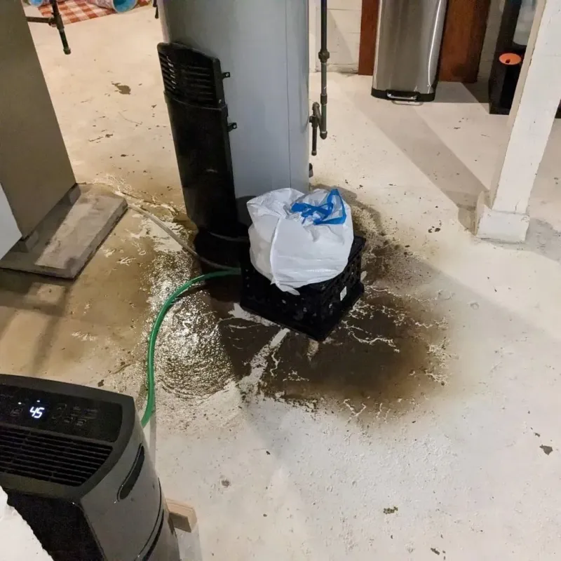 Sewage Backup Cleanup Service in Briscoe County, TX